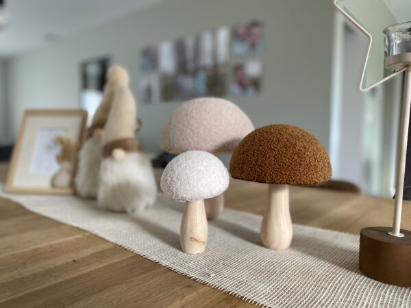 Paddenstoelen pakket - Image 2