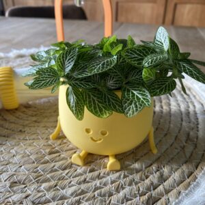 Bloempot mannetjes